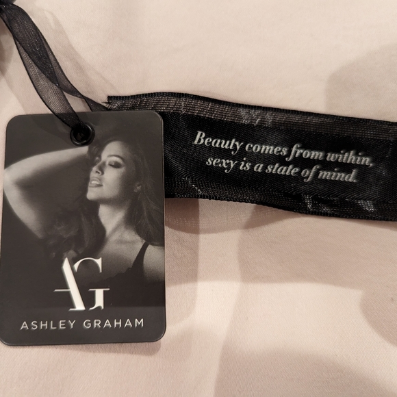 Ashley Graham 38DD - Picture 3 of 4